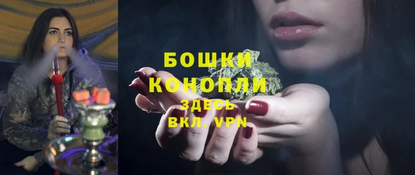 spice Арсеньев