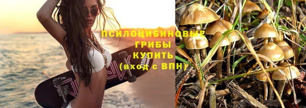 не бодяженный Аркадак