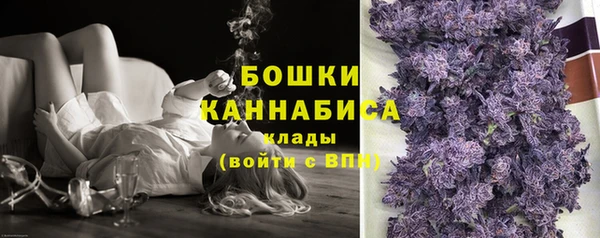 spice Арсеньев