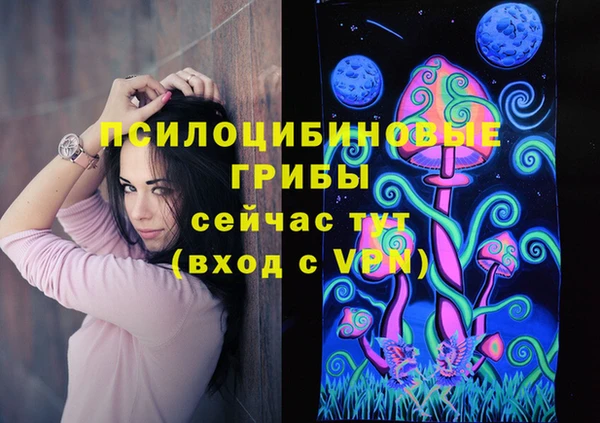 spice Арсеньев