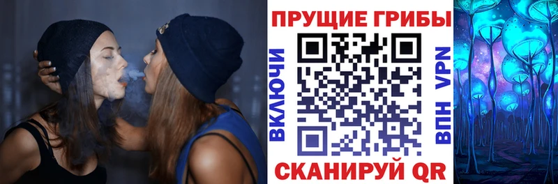KRAKEN сайт  Чистополь  Псилоцибиновые грибы Cubensis 