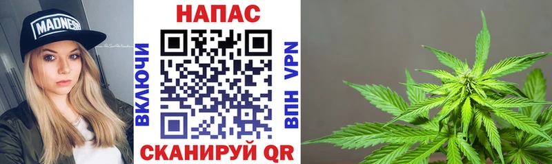 Шишки марихуана VHQ  даркнет сайт  Чистополь 
